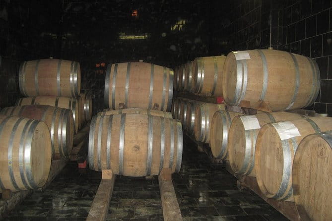 Amarone Wine Tour (all-inclusive full day with lunch and expert wine guide) - Return to Venice and Final Thoughts on the Experience