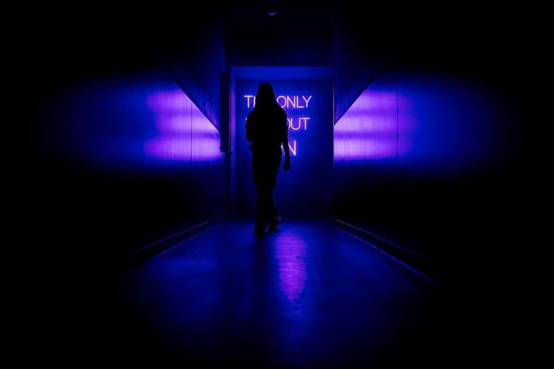 AMAZE Amsterdam: Immersive Audiovisual Experience - Practical Tips for Visitors