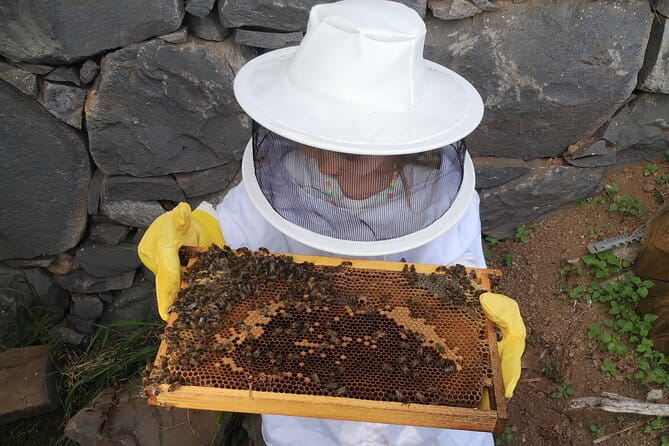 Amazing experience with Bees, honey and Pollen in Madeira Island - FAQ