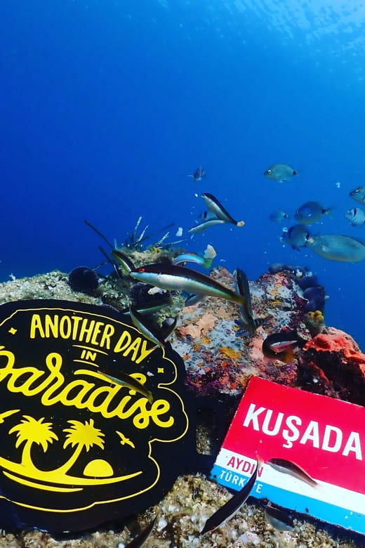 AMAZING KUSADASI SCUBA DIVING - Key Points / Takeaways
