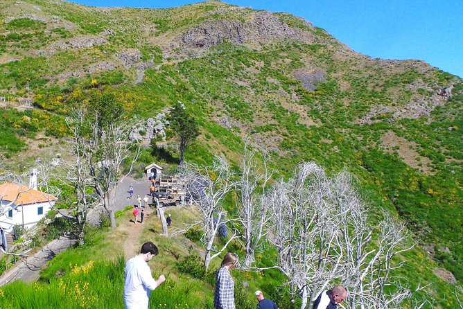 Amazing Skywalk, Wine Tasting & 4x4 Adventure + Dolphin Watching - Dolphin and Whale Watching Cruise