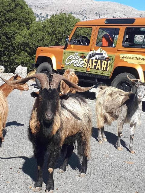 Amazing Sunset Safari Route with Dinner - Key points / Takeaways