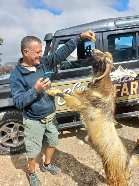 Amazing Sunset Safari Route with Dinner - Scenic Drives and Hidden Trails