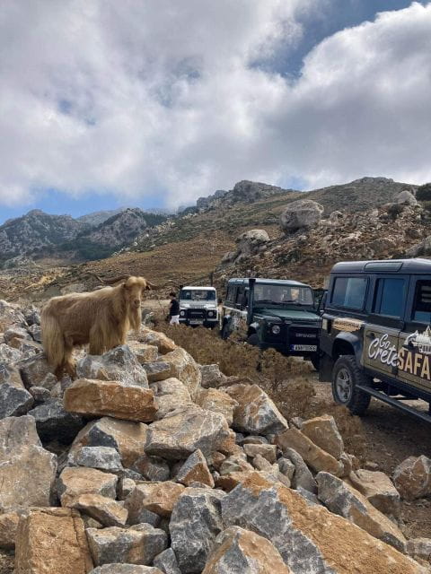 Amazing Sunset Safari Route with Dinner - Practicalities and Logistics