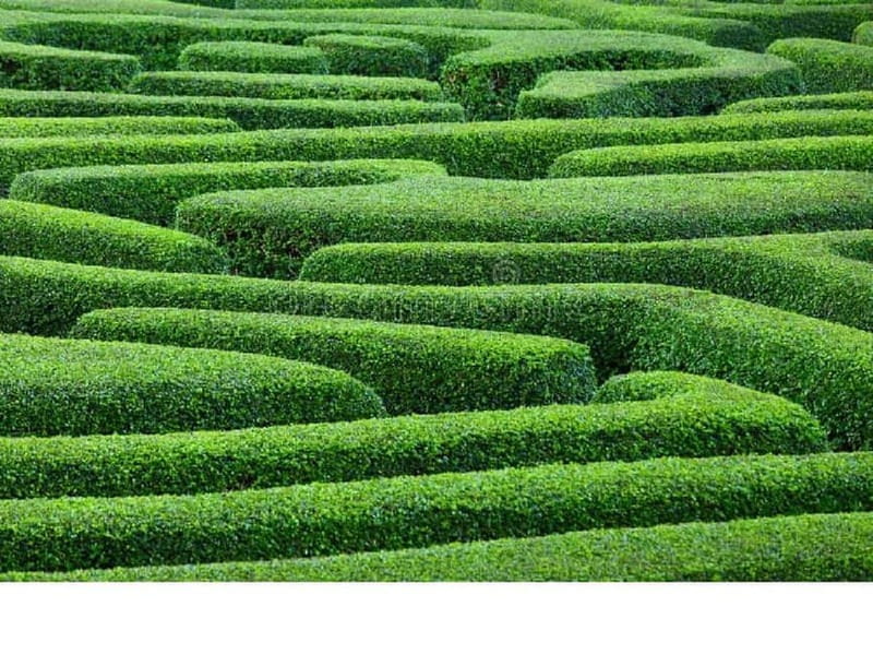 Ammochostos(:), Village Life Lover & Cyprus Gems-Region Trip - Price and Logistics: Good Value for a Unique Experience