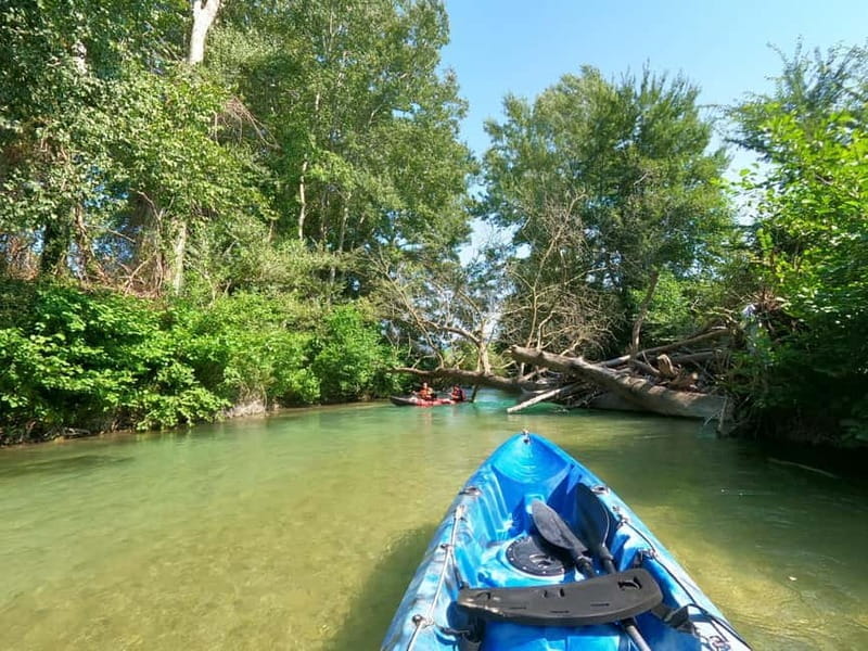 Ammoudia: 13 km Kayaking Adventure in the Acheron River. - Practical Tips for a Smooth Experience