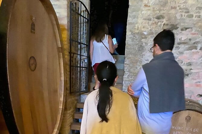 Among ancient sunny vineyards, visit and taste the wines from the San Lorenzo cellar - FAQ