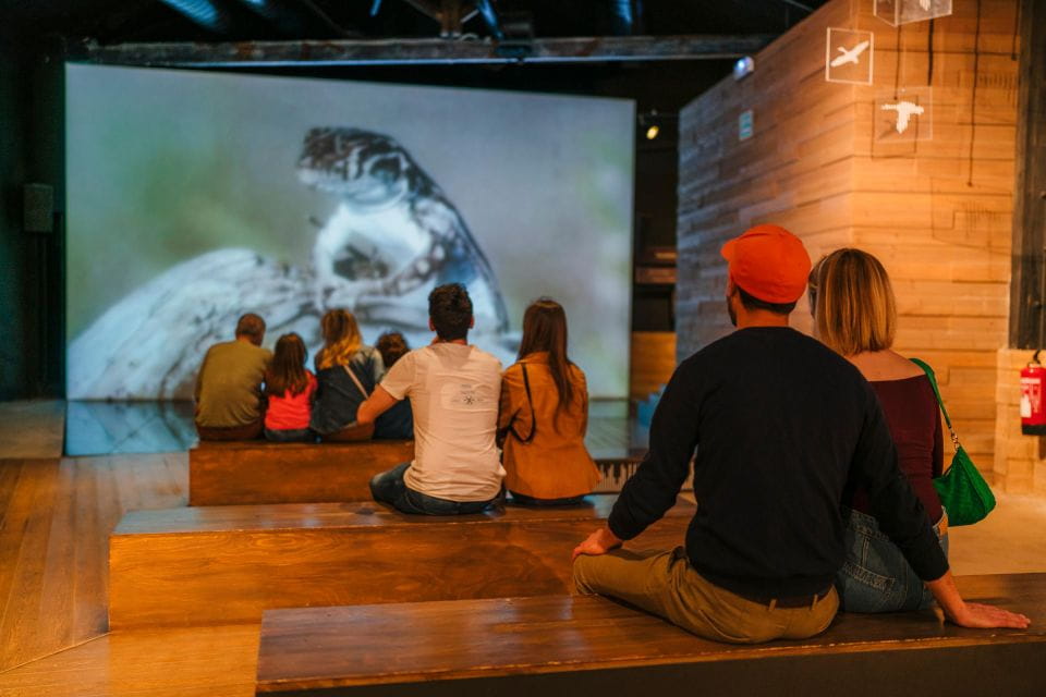 Amposta: MónNatura Delta Entrance Ticket and Guided Tour - Customer Reviews and Ratings