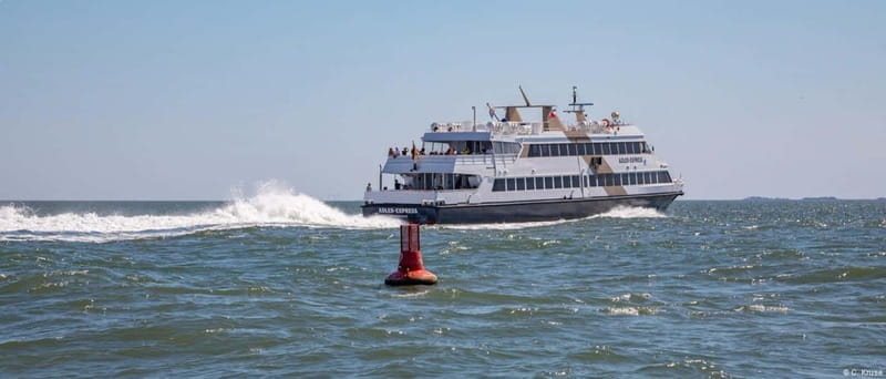 Amrum: Day trip by boat to Hallig Hooge - Key Points / Takeaways