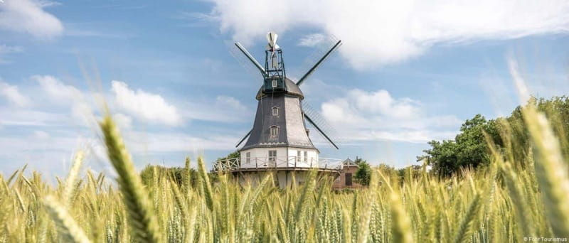 Amrum: Daytrip by boat to Föhr - Key Points / Takeaways