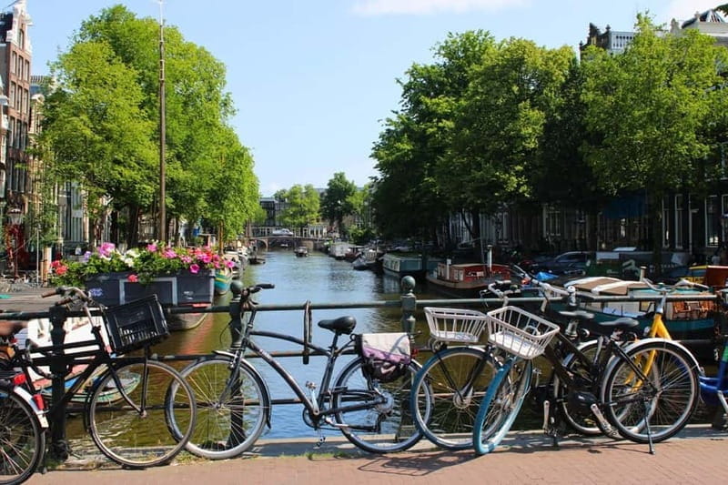 Amsterdam: 1,5-hour Interactive Kids Tour in the City - Who Should Consider This Tour?
