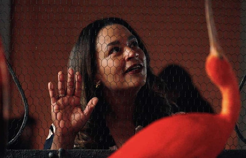 Amsterdam: Art Zoo Museum Entry Ticket & Audio Tour - A Closer Look at Amsterdam’s Art Zoo Museum Experience