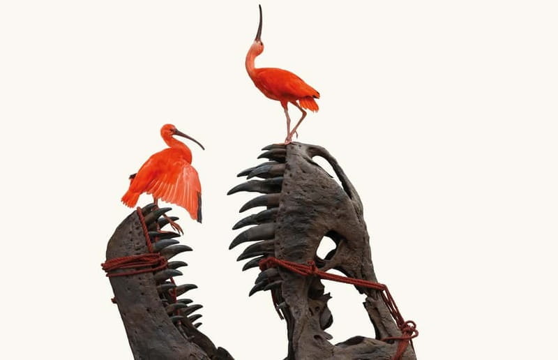 Amsterdam: Art Zoo Museum Entry Ticket & Audio Tour - Key points / Takeaways