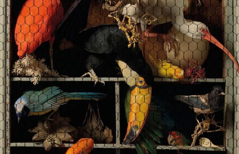 Amsterdam: Art Zoo Museum Entry Ticket & Audio Tour - Practical Details and Tips for Your Visit