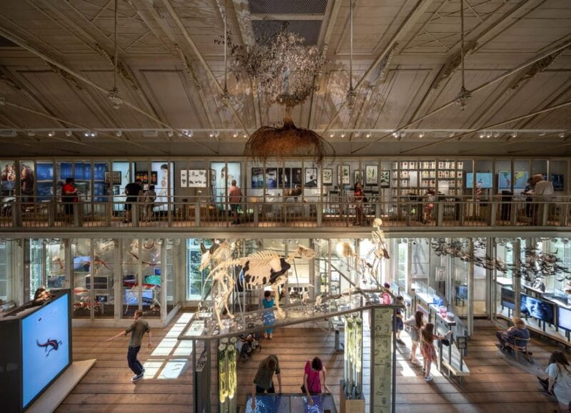 Amsterdam: ARTIS Royal Zoo and ARTIS Groote Museum Ticket - Pricing, Logistics, and Practical Tips