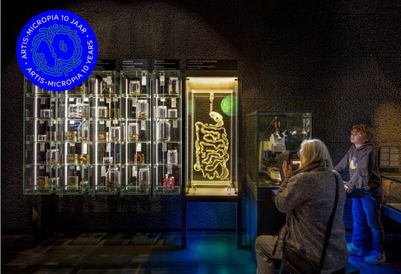 Amsterdam: Artis Royal Zoo & ARTIS-Micropia Combo Ticket - Who Will Love This Experience?