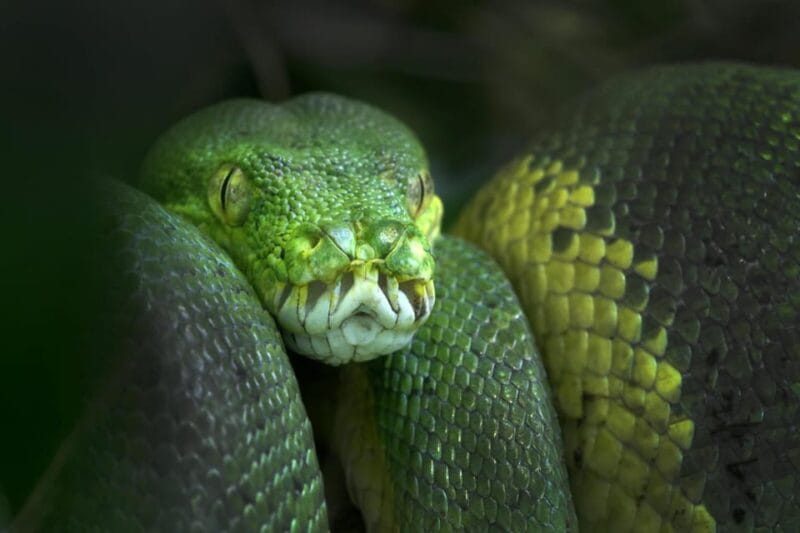 Amsterdam: ARTIS Royal Zoo Entry Ticket - Final Thoughts: A Well-rounded Day at ARTIS