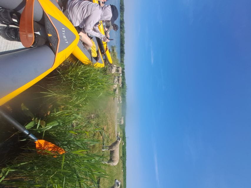 Amsterdam: Countryside Bike and Kayak Guided Tour - Meeting Point