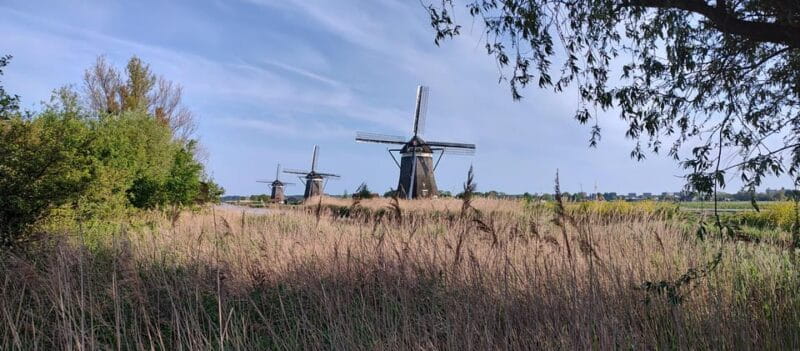 Amsterdam & Countryside Private Tour by premium car - Inside a 17th Century Drainage Windmill (Seasonal)