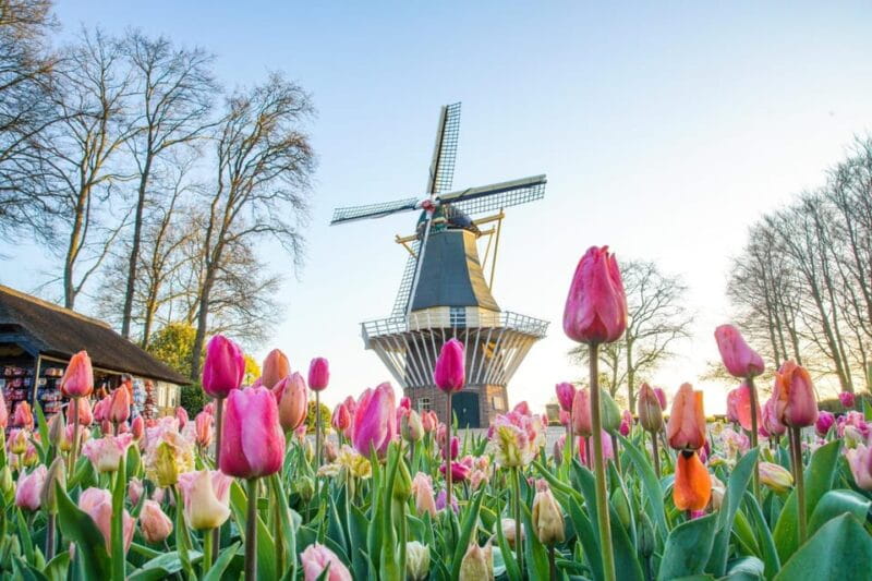 Amsterdam: Keukenhof and Zaanse Schans Live Guided Day Tour - The Journey Begins: Starting Point and Transportation