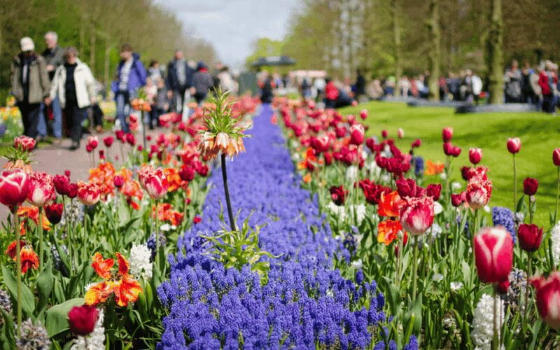 Amsterdam: Keukenhof and Zaanse Schans Windmills Day Trip - FAQ