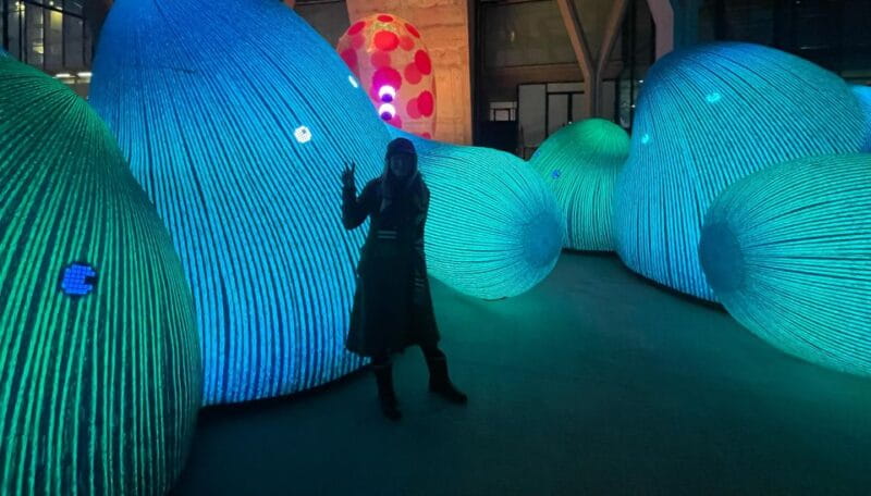 Amsterdam Light Festival Guided Bike Tour - Key points / Takeaways