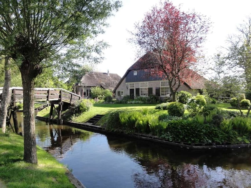 Amsterdam: Live GuideD Giethoorn Boat Tour & Cheese Platter - Who Will Love This Tour?