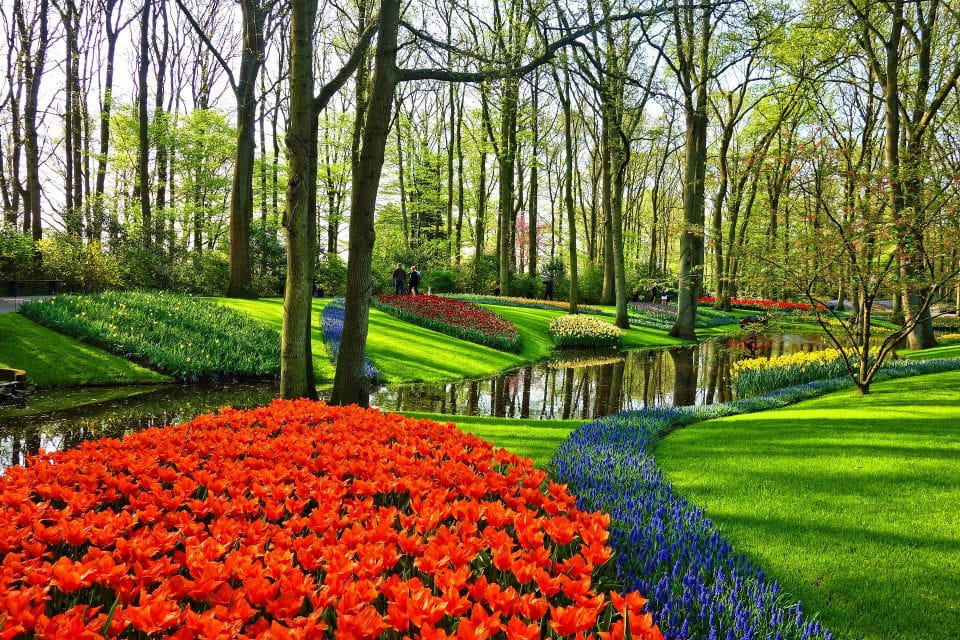 Amsterdam: Private Sightseeing Tour to Keukenhof - Customer Reviews