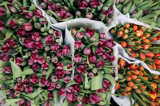 Amsterdam Private Tour: Highlights & Hidden Gems by Bike or Foot - Exploring Amsterdams Neighborhoods