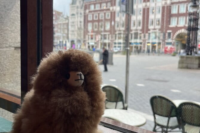 Amsterdam Private Walking & Tasting Tour - Key Points / Takeaways