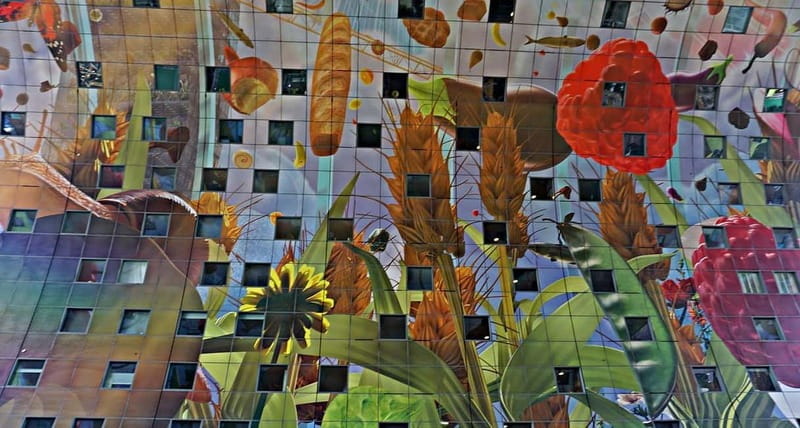 Amsterdam: Rotterdam Day Trip with Local - The Sum Up