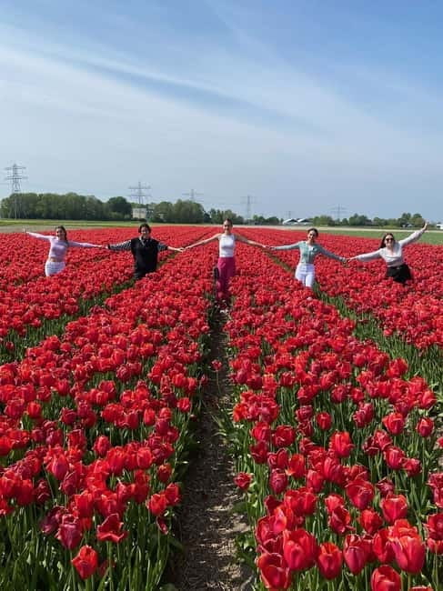 Amsterdam: Tulip Farm Visit, Keukenhof, and Windmill Cruise - Key points / Takeaways