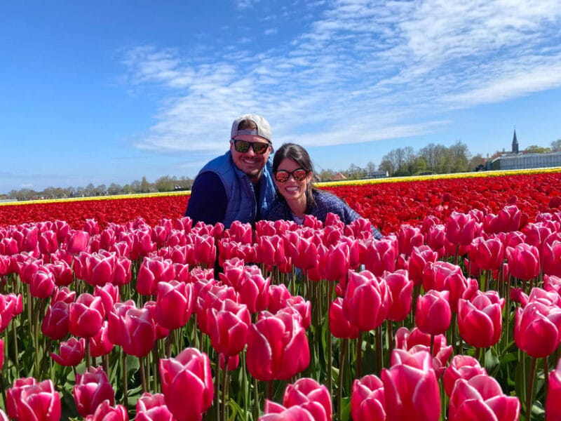 Amsterdam: Tulip Fields Day Tour with Lunch & Windmill - Key Points / Takeaways
