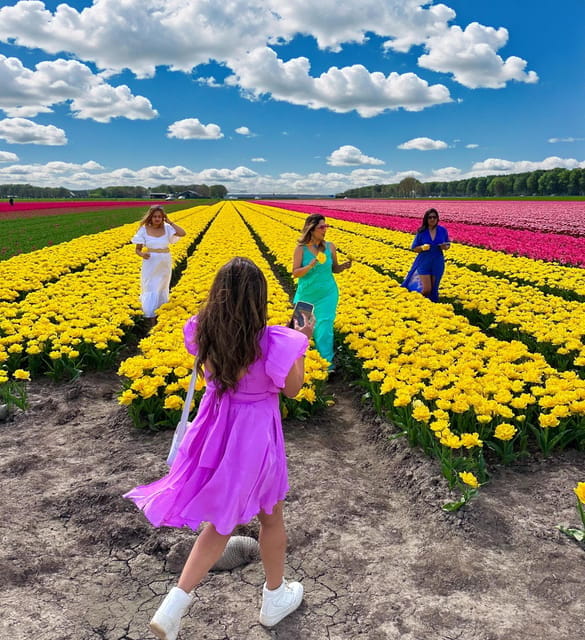 Amsterdam: Tulip Fields Day Tour with Lunch & Windmill - The Tulip Fields: Step Into a Technicolor Dream