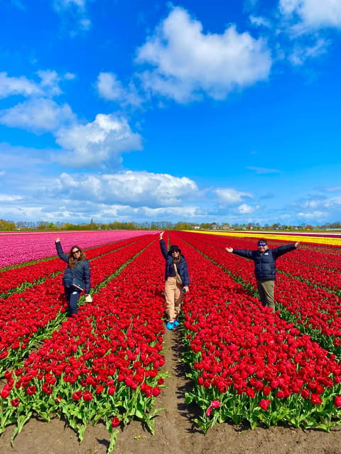 Amsterdam: Tulip Fields Day Tour with Lunch & Windmill - Scenic Drive and Photo Stops: Multiple Opportunities for Stunning Shots