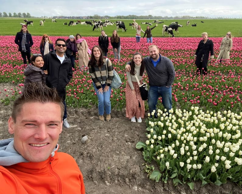 Amsterdam: Tulip Fields Day Tour with Lunch & Windmill - Who Should Consider This Tour?