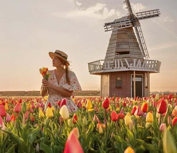 Amsterdam : Tulip Wonderland Tour - Key points / Takeaways