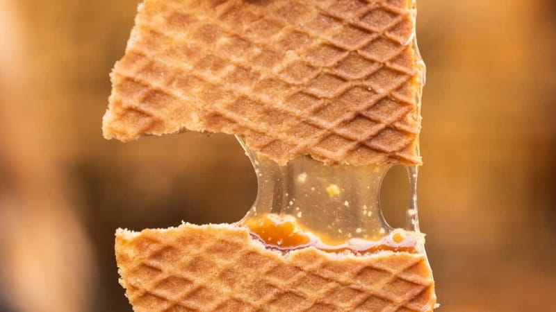 Amsterdam: Ultimate Amsterdam Food Tour - Final Thoughts