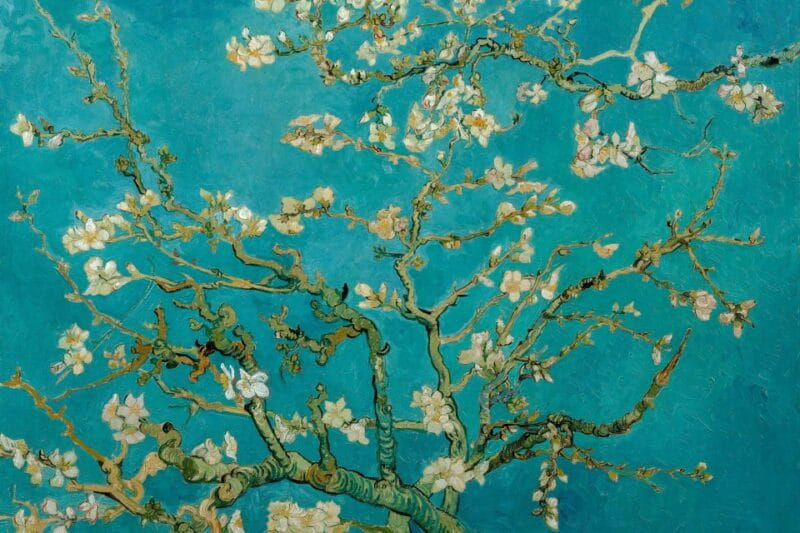 Amsterdam: Van Gogh Museum Ticket & Canal Cruise - The Sum Up: A Well-Rounded Day in Amsterdam