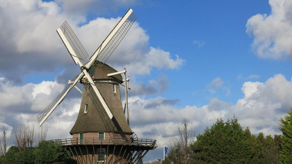 Amsterdam: Windmill Guided Tour - Tour Inclusions