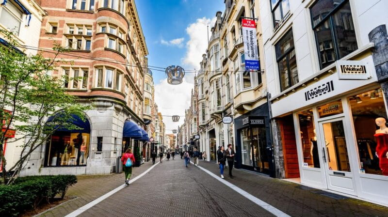 Amsterdam: Zaanse Schans, The Hague & Rotterdam Tour - Authentic Touches and Real Reviews