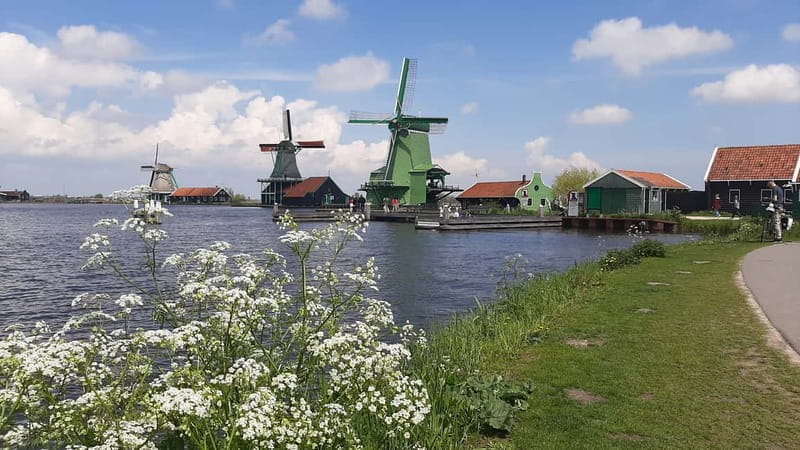 Amsterdam: Zaanse Schans Windmills Guided Tour - The Value of This Tour