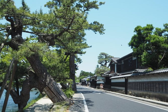 An E-Bike Cycling Tour of Matsue That Will Add to Your Enjoyment of the City - Discovering the Local Flavors of Matsue