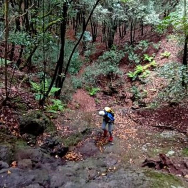 Anaga Canyoning - Key points / Takeaways