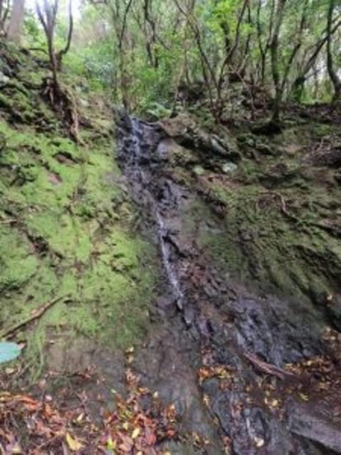 Anaga Canyoning - FAQ