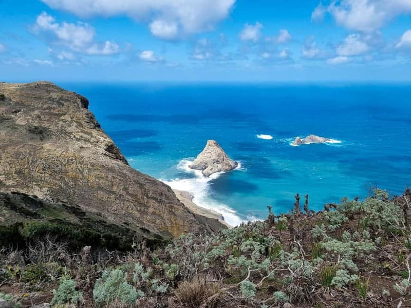 Anaga Mountains Tenerife - Chamorga Guided Hike - Entering the Wild: Starting at Bosque Encantado