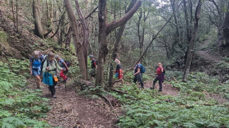 Anaga Mountains Tenerife - Chamorga Guided Hike - Final Thoughts: Is This Tour Worth It?