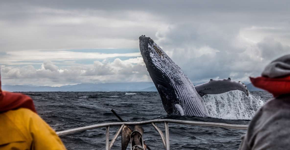 Anchorage: Kenai Fjords & Denali National Park 5 Day Tour - Activities in Seward