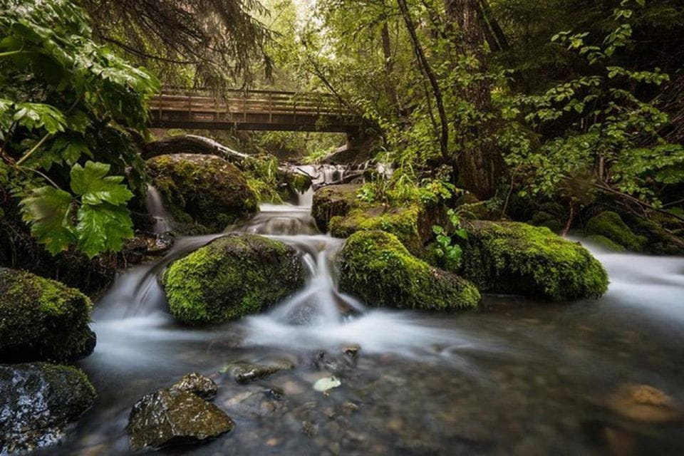 Anchorage: Sunset Photo Safari - Photography Instruction