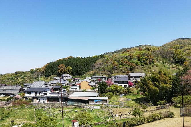 Ancient Nara Walking and Cycling Tour in Asuka - Key Inclusions and Amenities